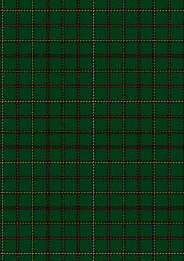  Skene Hunting Tartan Fabric