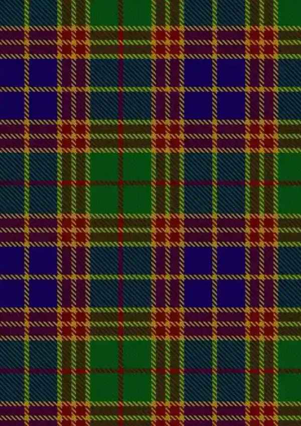 Stevenson Tartan Fabric