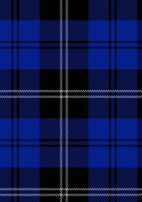 Swan Tartan Fabric