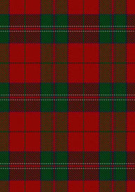 Thomas Of Wales Tartan Fabric