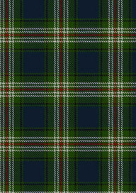  Todd Tartan Fabric