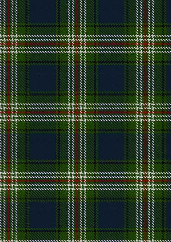  Todd Tartan Fabric