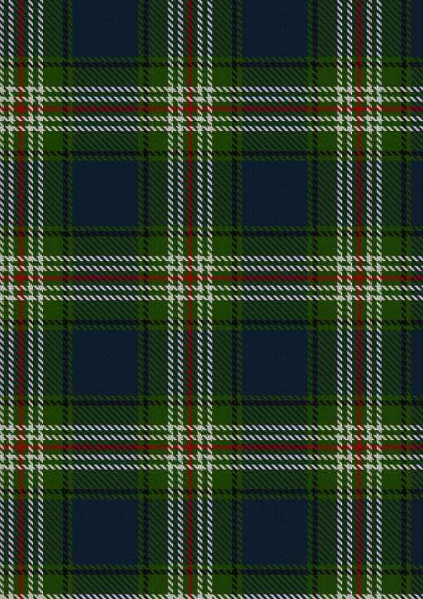  Todd Tartan Fabric