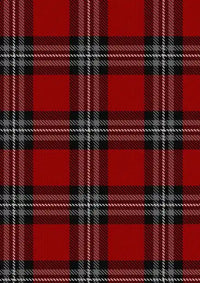 Turner Tartan Fabric