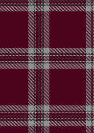 Tynecastle Park Tartan Fabric