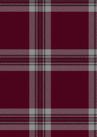 Tynecastle Park Tartan Fabric