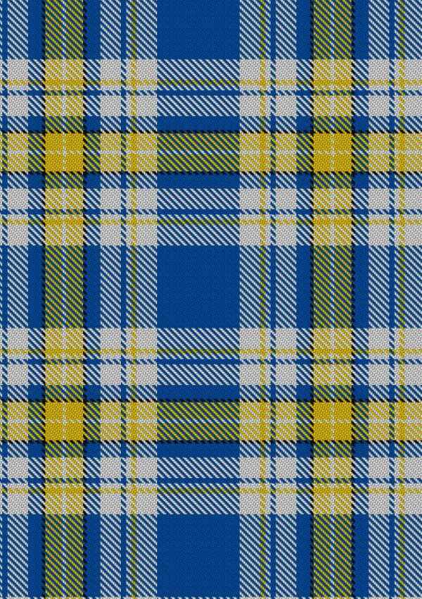 Ukraine Forever Tartan Fabric
