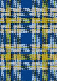 Ukraine Forever Tartan Fabric