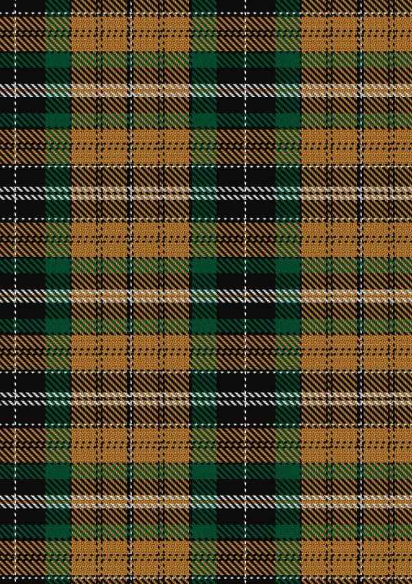 Vaughan Tartan Fabric