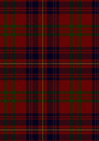 Walker Evening Tartan Fabric