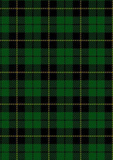 wallace-hunting-tartan-fabric
