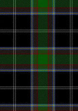 webster-tartan-fabric