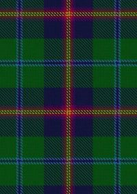 Young Tartan Fabric